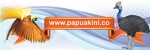 papua kini logo 272 90