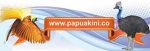papua-kini-logo-280-96