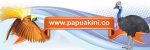 papua kini logo 544 180