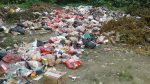 sampah-wondama