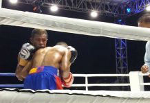 Tinju Amatir Bakal Bergulir Lagi di Manokwari, Kapolda Harap Dapat Emas