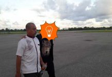 Basirun, DPO Bansos 1,3 M Ditangkap di Baubau