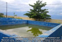 BBL Mansinam Dipakai Ternak Mujair, Kadis KP Bantah