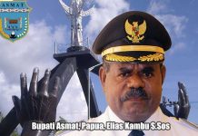 Bupati Asmat Cabut Status KLB Campak dan Gizi Buruk Bupati Asmat, Elisa Kambu S.Sos.