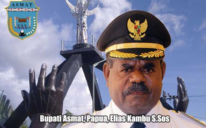 Bupati Asmat, Elisa Kambu S.Sos.