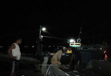 5-10 Ton Ikan Masuk Dari Pelabuhan Perikanan Sorong Setiap Malam