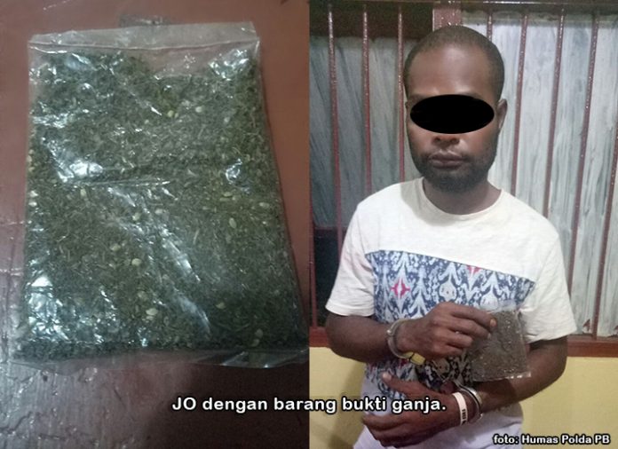 Polres Sorkot Ciduk Pemuda Bawa 1 Bungkus Ganja