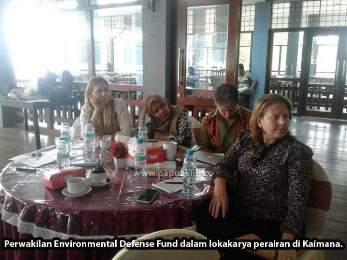Perwakilan EDF