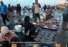 Harga Ikan di Sorong Melambung Harga Ikan di Sorong Melambung