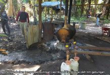 Tim Gabungan Grebek Pabrik CT di Tambrauw