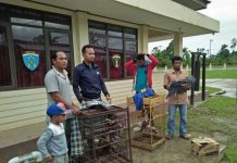 Mulai Sadar, Warga Bintuni Serahkan Satwa Dilindungi