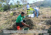 PLN-Pemkot Jayapura Tanam 1111 Pohon PLN-Pemkot Jayapura Tanam 1111 Pohon