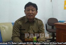 Kasus Illegal Logging Bintuni Dari Polda ke Dishut, Balai Gakkum KLHK Nyatakan Berwenang Kasus Illegal Logging Bintuni Dari Polda ke Dishut, Balai Gakkum KLHK Nyatakan Berwenang