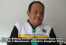 Perburuan Satwa Dilindungi Masih Terjadi di Papua