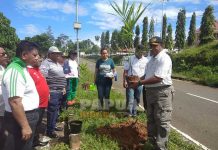 Dishut Tanam 500 Pohon Sepanjang Perkantoran Arfai Dishut Tanam 500 Pohon Sepanjang Perkantoran Arfai