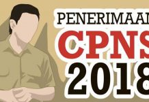 Pendaftaran CPNS Wondama Online tapi Test Offline Ketua DPR PB: Menpan dan RB Nyatakan Penerimaan CPNS Papua Barat Offline