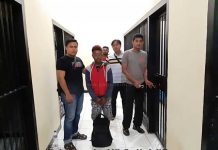 Buron 5 Bulan, Residivis Pencuri Tertangkap di Babo Buron 5 Bulan, Residivis Pencuri Tertangkap di Babo