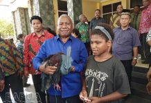 Kala Gubernur Papua Barat Selamatkan Burung Mambruk Kala Gubernur Papua Barat Selamatkan Burung Mambruk