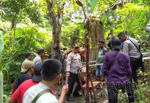 Polres Manokwari Grebek Tempat Penyulingan Miras di Atas TPU Pasir Putih Polres Manokwari Grebek Tempat Penyulingan Miras di Atas TPU Pasir Putih