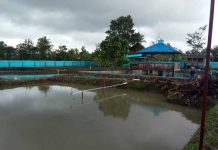 Pemilik Kolam Ikan SP 2 Tewas Tersengat Listrik Pemilik Kolam Ikan SP 2 Tewas Tersengat Listrik