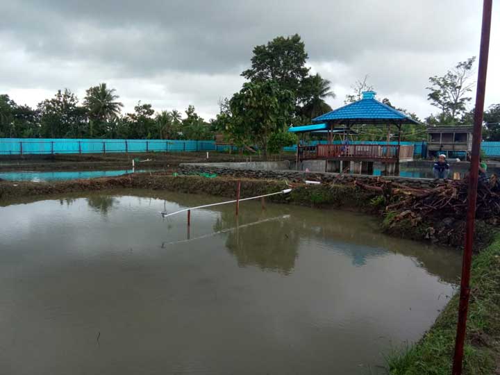 kolam-ikan-prafi Pemilik Kolam Ikan SP 2 Tewas Tersengat Listrik