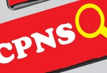 4124 Pelamar CPNS Manokwari Rebutan 380 Posisi 4124 Pelamar CPNS Manokwari Rebutan 380 Posisi