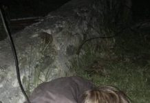 Anak Diduga Telantarkan Ibu Kandung di Masni Anak Diduga Telantarkan Ibu Kandung di Masni