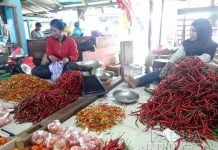 Harga Cabai Merah Bintuni Meroket 60 Persen Harga Cabai Merah Bintuni Meroket 60 Persen