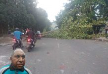 Kapan SMA dan SMK di Manokwari dan Kota Sorong Sekolah Lagi Tunggu Instruksi Lebih Lanjut Kapan SMA dan SMK di Manokwari dan Kota Sorong Sekolah Lagi Tunggu Instruksi Lebih Lanjut