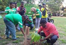 Bupati Manokwari: Hutan Bukan Warisan Tapi Titipan Nenek Moyang Bupati Manokwari: Hutan Bukan Warisan Tapi Titipan Nenek Moyang