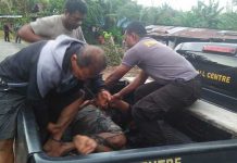 Oknum Polisi Tertangkap Penggrebekan Ganja di Wasior Oknum Polisi Tertangkap Penggebrekan Ganja di Wasior