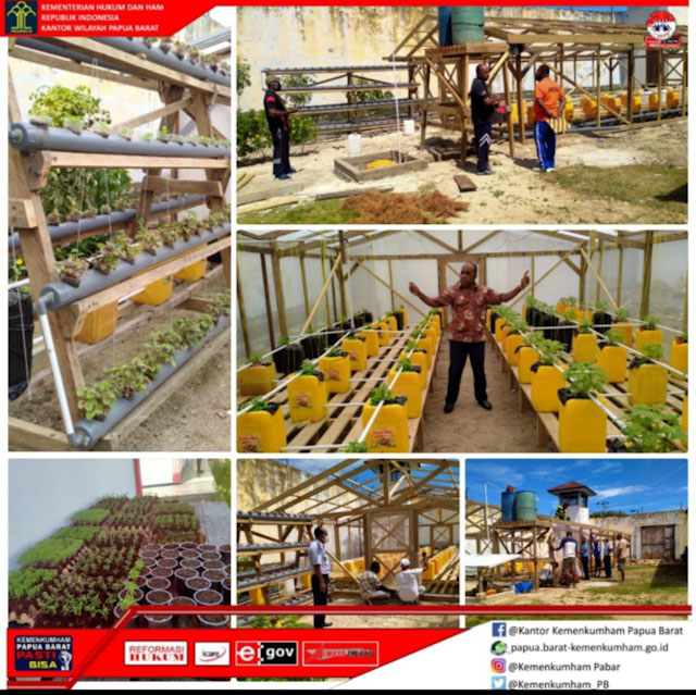 Lapas Kaimana Berhasil Budidaya Sayur Hidroponik Lapas Kaimana Berhasil Budidaya Sayur Hidroponik