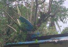Sejumlah Rumah Rusak dan Pohon Tumbang Dihempas Angin di Manokwari Sejumlah Rumah Rusak dan Pohon Tumbang Dihempas Angin di Manokwari