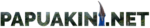 logo papuakininet 180