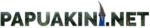logo papuakininet 272