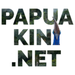 logo papuakininet kotak