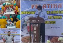 DKP Papua Barat Latih Istri Nelayan Buat Abon dan Bakso Ikan DKP Papua Barat Latih Istri Nelayan Buat Abon dan Bakso Ikan