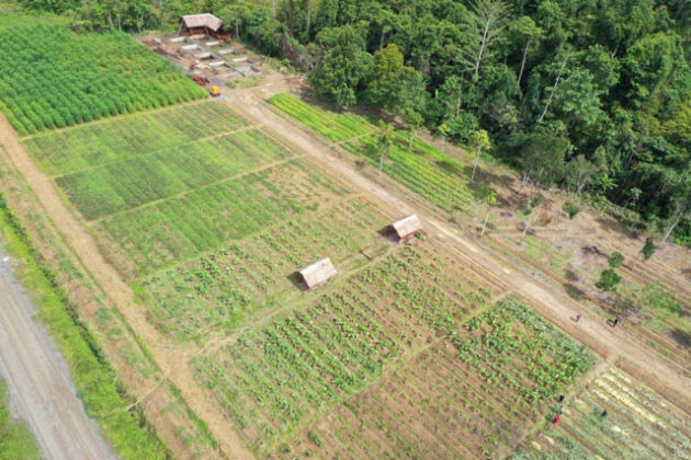 Pusat Pelatihan Agribisnis Teluk Bintuni Dorong Kesejahteraan Petani dan Nelayan