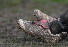 Jaga Jarak Covid-19 Bikin Klub Sepakbola Jerman Ini Kalah 37:0 Covid-19 Bikin Klub Sepakbola Jerman Ini Kalah 37:0