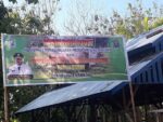 panen-pedet-sapi-sorong-2-(3)