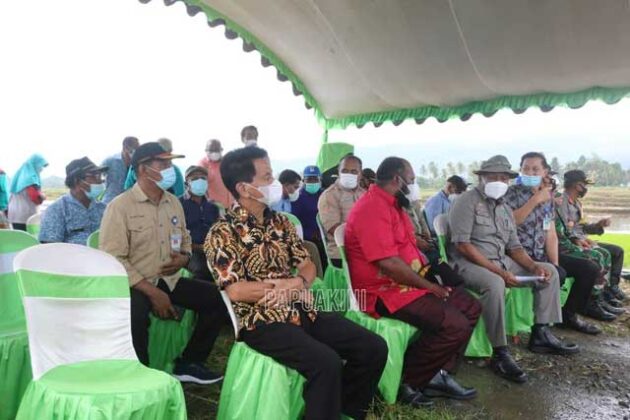 Pabrik Pengolahan Kakao Segera Berdiri di Manokwari Selatan