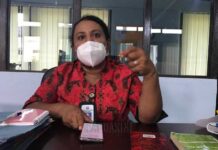 Besok Pengumuman Hasil Seleksi CPNS 2018 Kaimana Besok Pengumuman Hasil Seleksi CPNS 2018 Kaimana