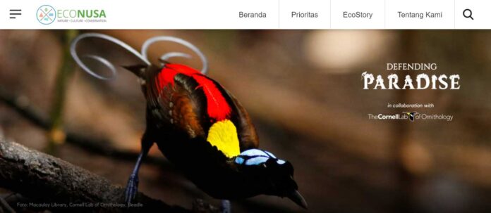 Eco Nusa Kampanyekan Penyelamatan Cenderawasih Melalui Defending Paradise