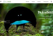 Slank Dukung Upaya Perlindungan Hutan di Papua dan Maluku Slank Dukung Upaya Perlindungan Hutan di Papua dan Maluku