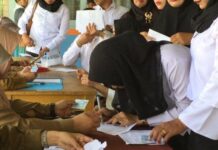 BKPSDM Manokwari Selatan Terus Kejar Penerbitan 39 SK CPNS 2018 BKPSDM Manokwari Selatan Terus Kejar Penerbitan 39 SK CPNS 2018