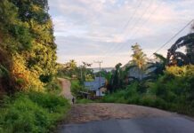 Tempat Transit Masyarakat Tiga Distrik, Jalan Tanggaromi Belum Juga Diaspal Tempat Transit Masyarakat Tiga Distrik, Jalan Tanggaromi Belum Juga Diaspal