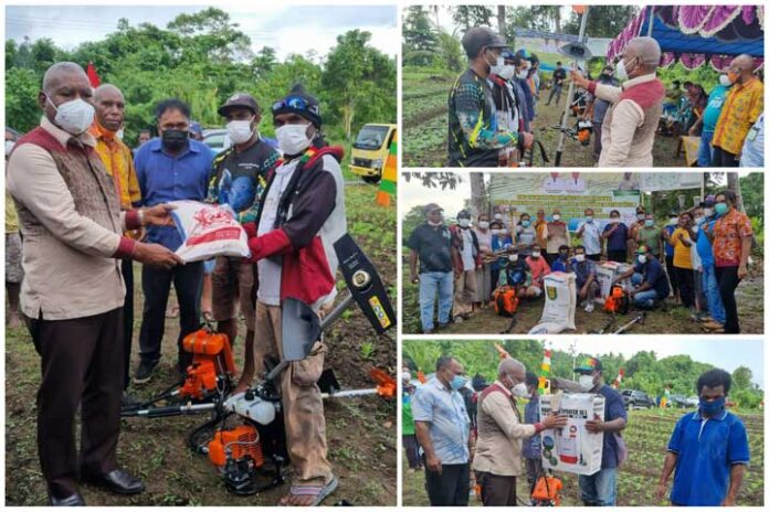 Gubernur Papua Barat Minta OPD dan Instansi Terkait Pertanian Terus Berinovasi