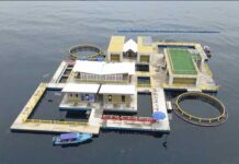 Nelayan Lokal Dilibatkan Untuk Buat Basis Data Terintegrasi Hiu Paus di Teluk Cenderawasih Nelayan Lokal Dilibatkan Untuk Buat Basis Data Terintegrasi Hiu Paus di Teluk Cenderawasih