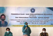 Warga Kabupaten Sorong Antusias Minta Masukan Cara Beternak Babi Warga Kabupaten Sorong Antusias Minta Masukan Cara Beternak Babi