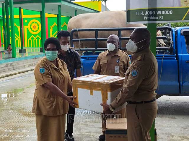 Gubernur Papua Barat Serahkan Sapi Kurban Bantuan Presiden